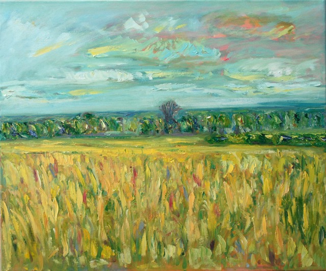 Field 1, 24×20